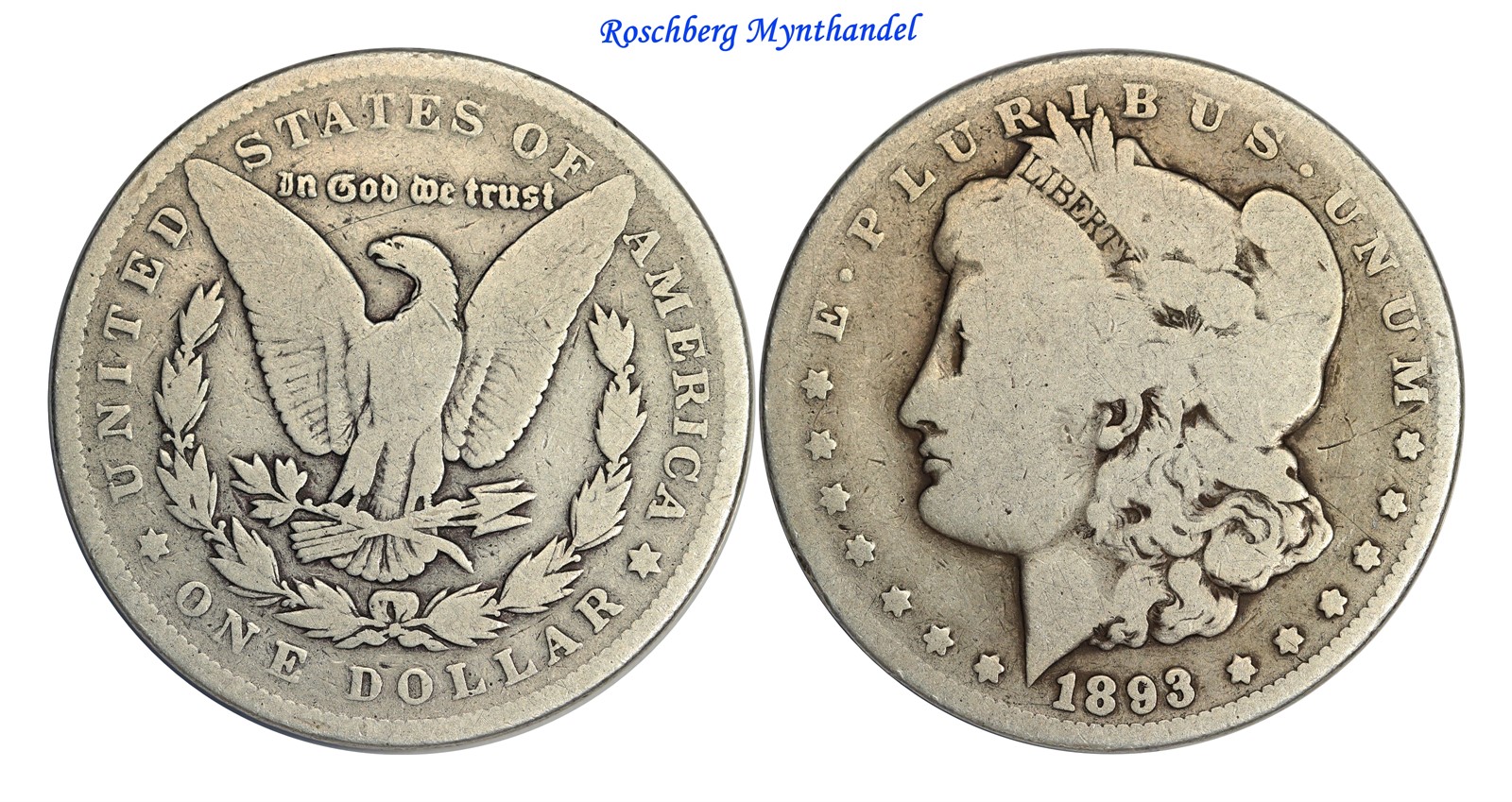 USA Morgan Dollar 1893 G